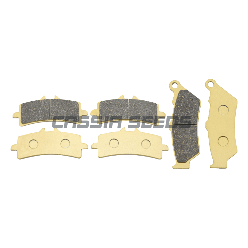 MOTORCYCLE FRONT AND REAR BRAK - đánh giá và giá Carbon Ceramic Motorcycle Brake Rotor